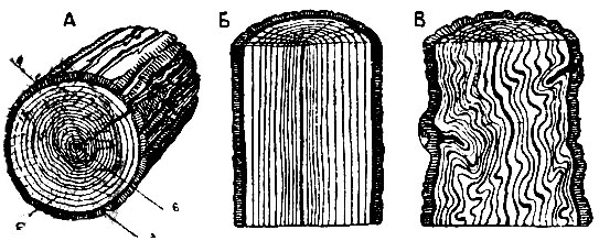 Рис. 3. А   -   радикальная трещина, обнаруженная в поперечном распиле; Б   -   прямослойное дерево; В   -   свилеватое дерево