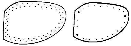 Рис. 114. Слева - расположение деревянных гвоздиков при прикреплении подметки; справа - подметка с дырками для гвоздей