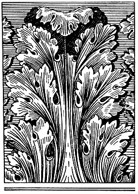 Рис. 65. Рисованный лист Аканта